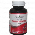 Tringle Cap 30's